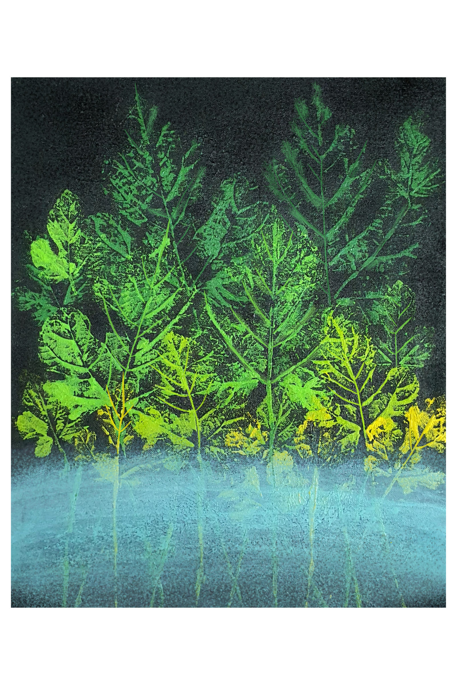 **Short sleeve printed cotton T-Shirt various colours