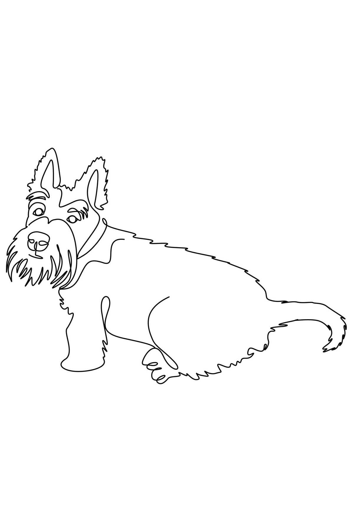 **Scotty Dog printed cotton T-Shirt various colours