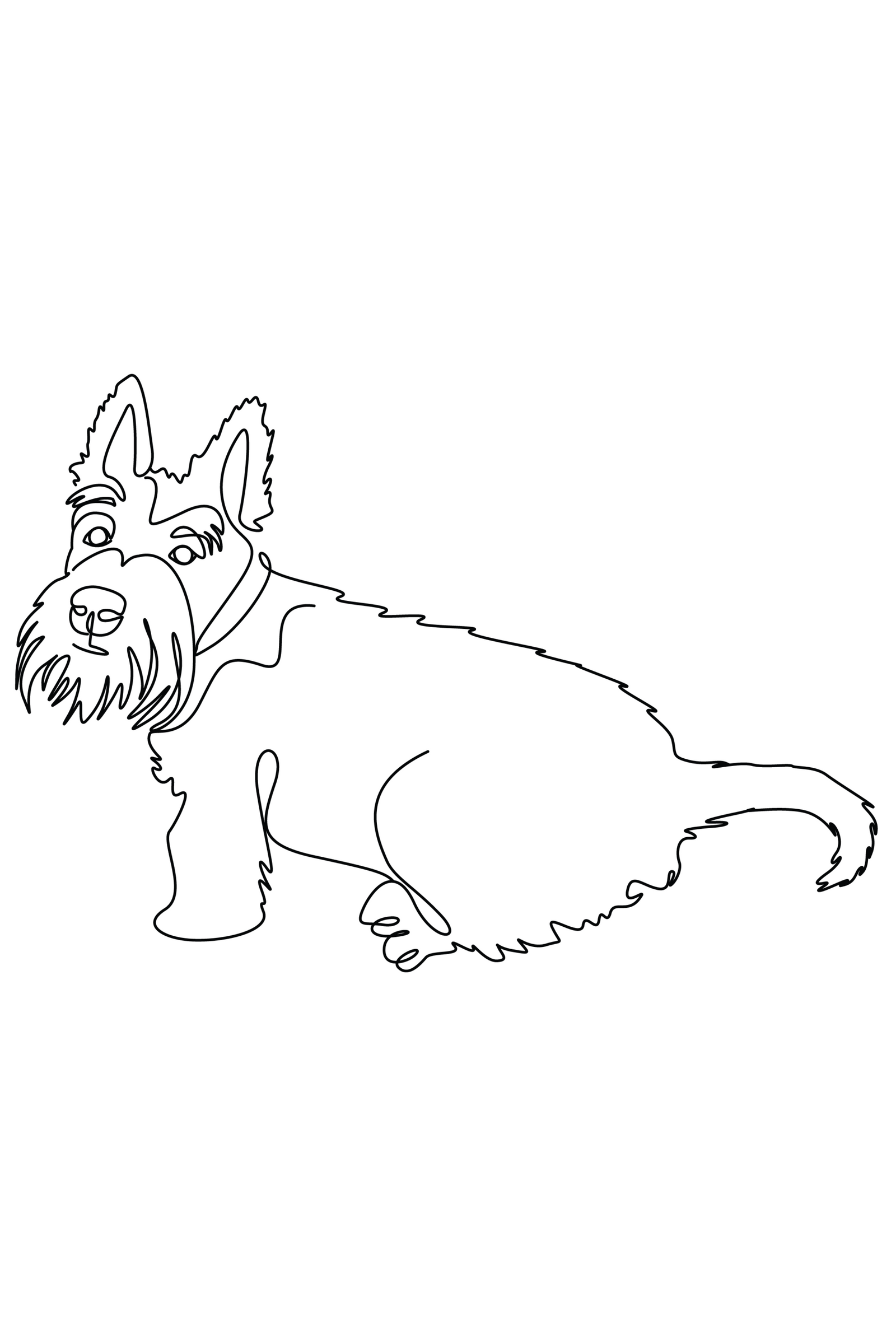 **Scotty Dog printed cotton T-Shirt various colours