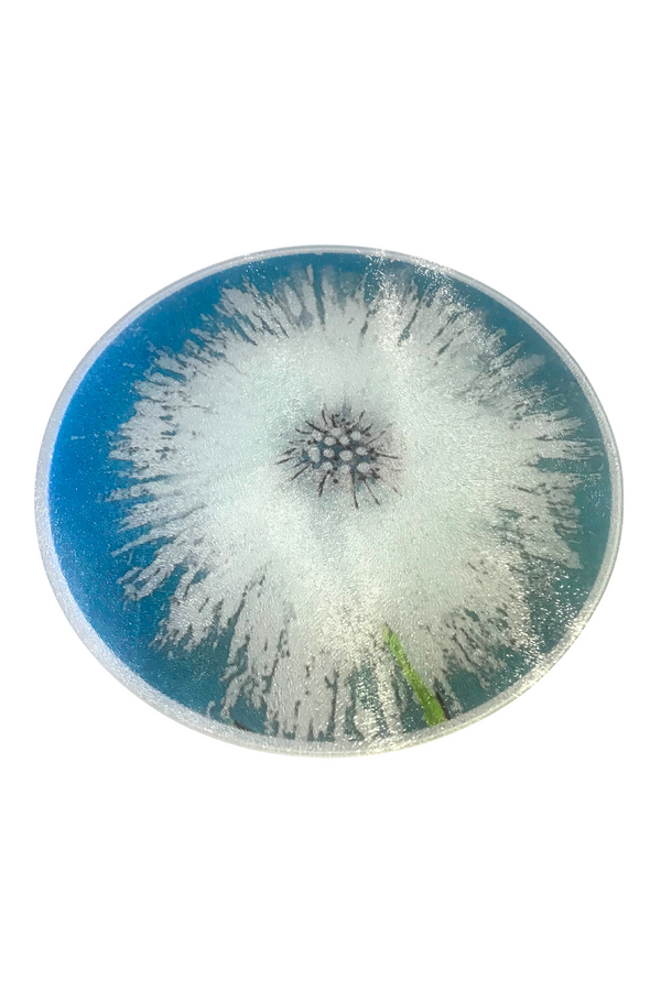 Frosted glass chopping board with a single daisy design Independent